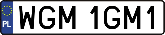 WGM1GM1