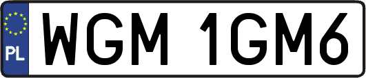WGM1GM6
