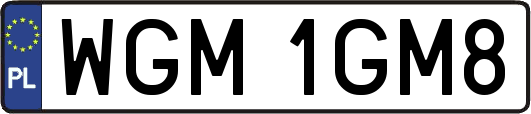 WGM1GM8