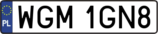 WGM1GN8