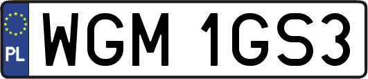 WGM1GS3