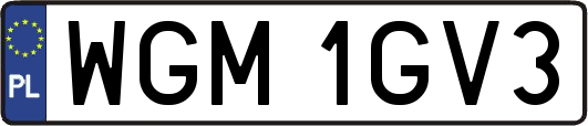 WGM1GV3