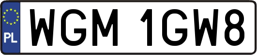 WGM1GW8