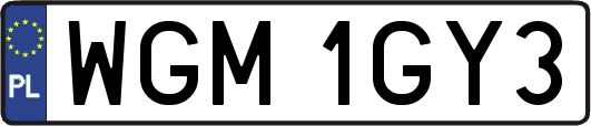 WGM1GY3