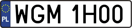 WGM1H00