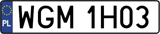 WGM1H03