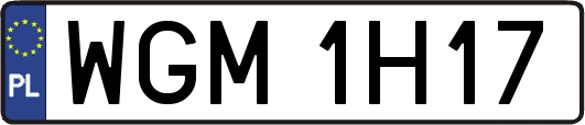 WGM1H17