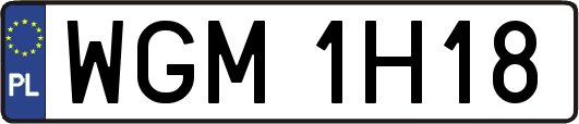 WGM1H18