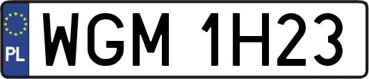 WGM1H23