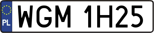 WGM1H25