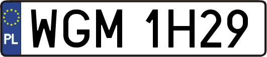 WGM1H29