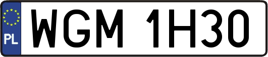 WGM1H30