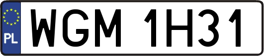 WGM1H31