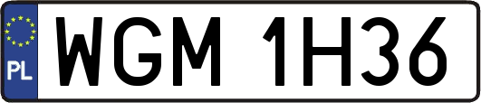 WGM1H36