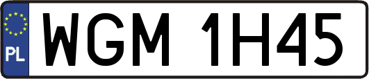 WGM1H45