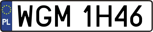 WGM1H46