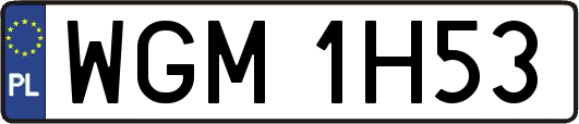 WGM1H53