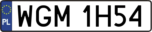 WGM1H54