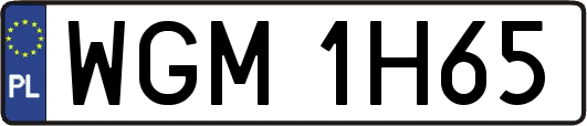 WGM1H65