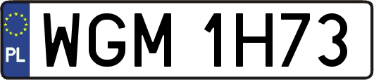 WGM1H73