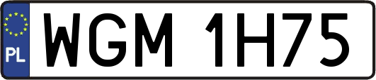 WGM1H75