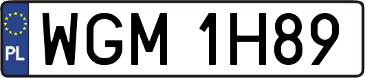 WGM1H89