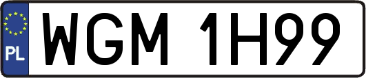 WGM1H99