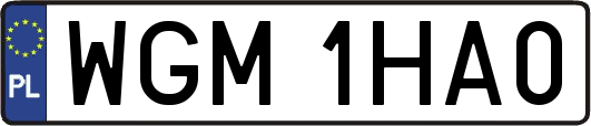 WGM1HA0