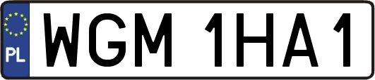 WGM1HA1