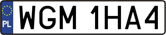 WGM1HA4