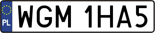 WGM1HA5