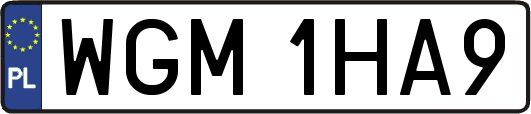 WGM1HA9