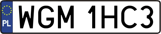 WGM1HC3