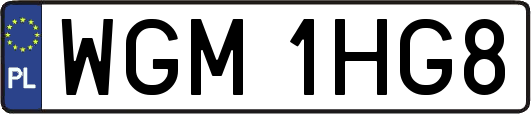 WGM1HG8