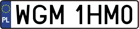 WGM1HM0
