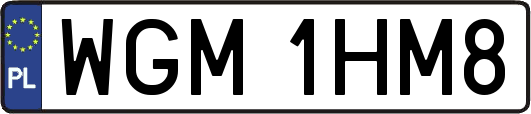 WGM1HM8