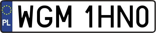 WGM1HN0