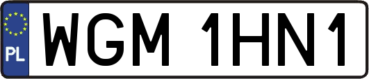 WGM1HN1