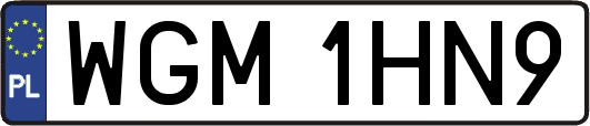 WGM1HN9
