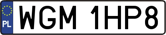 WGM1HP8