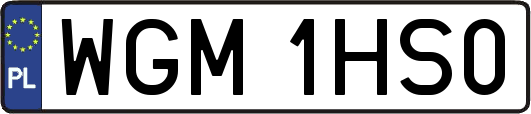 WGM1HS0