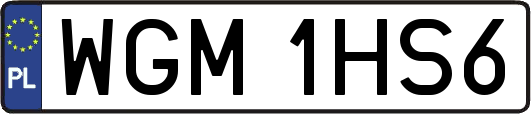 WGM1HS6