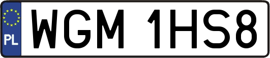 WGM1HS8
