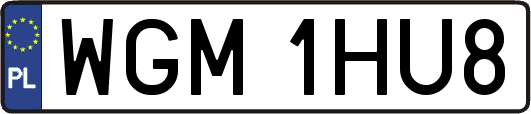 WGM1HU8