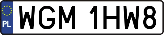 WGM1HW8