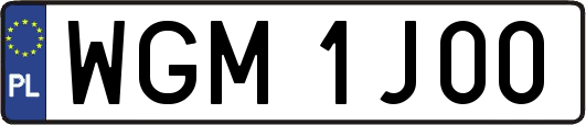 WGM1J00