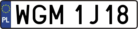 WGM1J18