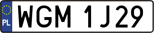 WGM1J29