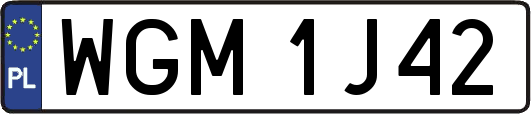WGM1J42