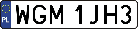 WGM1JH3